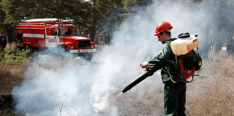 Нормы обеспечения противопожарным оборудованием и средствами тушения лесных пожаров