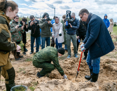 Александр Авдеев участвовал в акции по высадке сеянцев сосны во Владимире