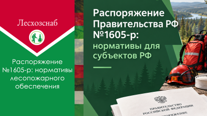 Распоряжение Правительства РФ №1605‑р: нормативы для субъектов РФ